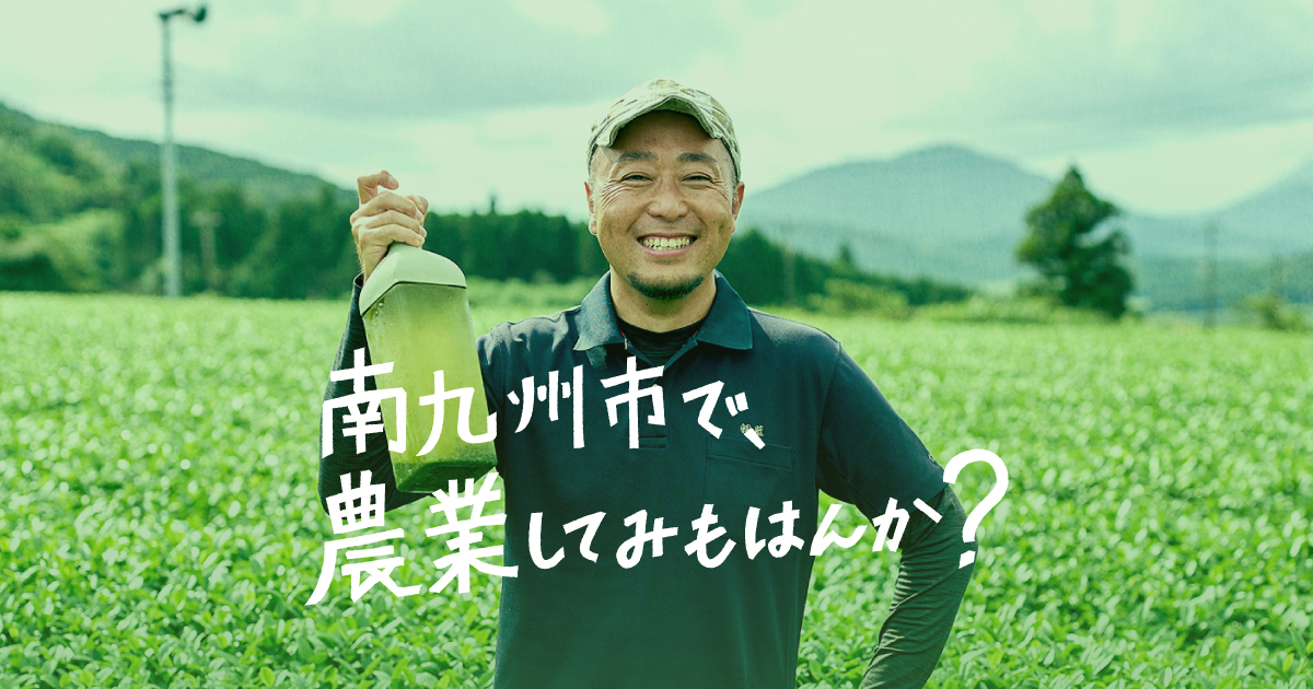 クルクマ農家 | 南九州市 就農ポータルサイト